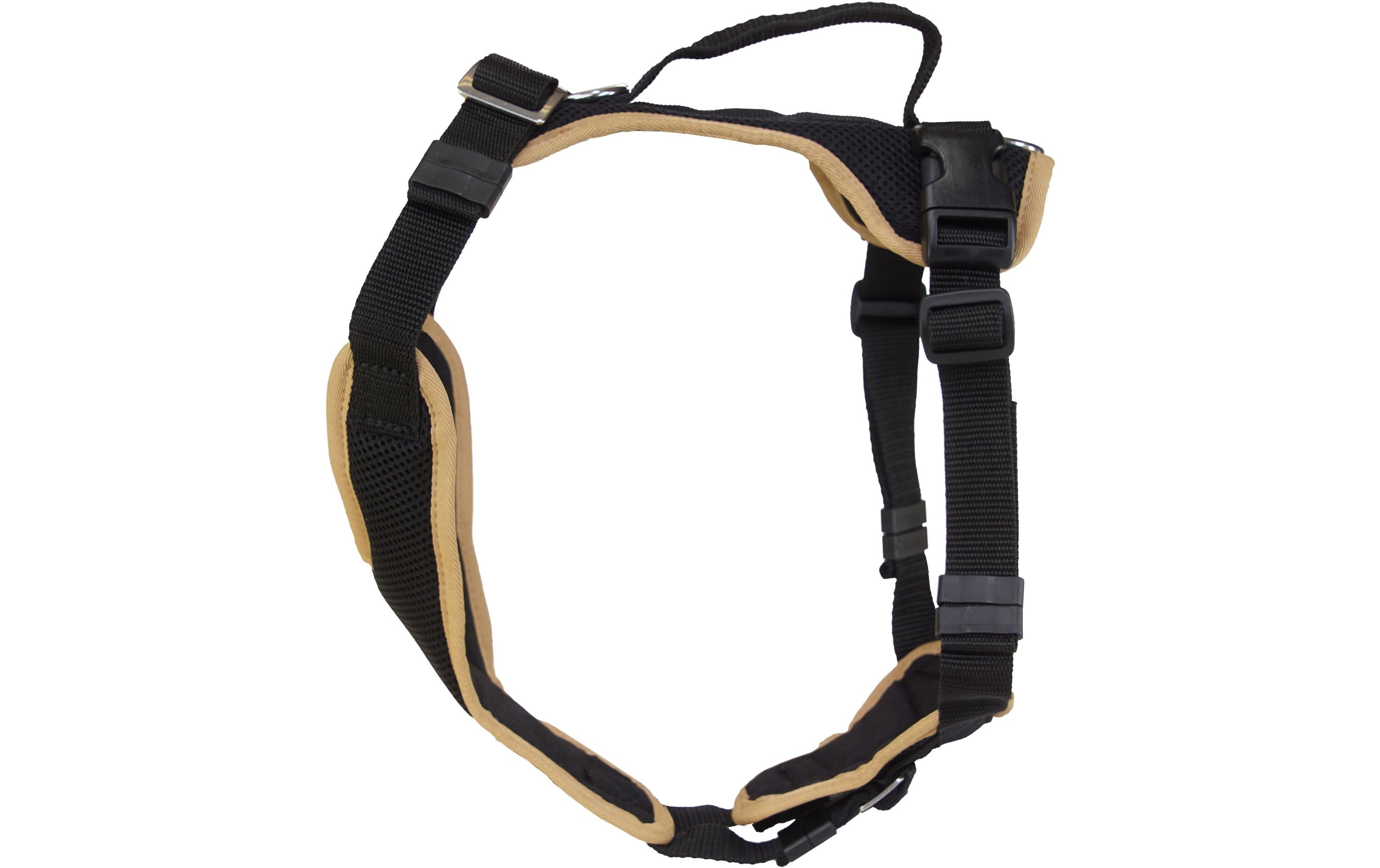Grossenbacher Welpengeschirr S Popp-it, Beige
