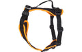 Grossenbacher Welpengeschirr M Popp-it, Orange