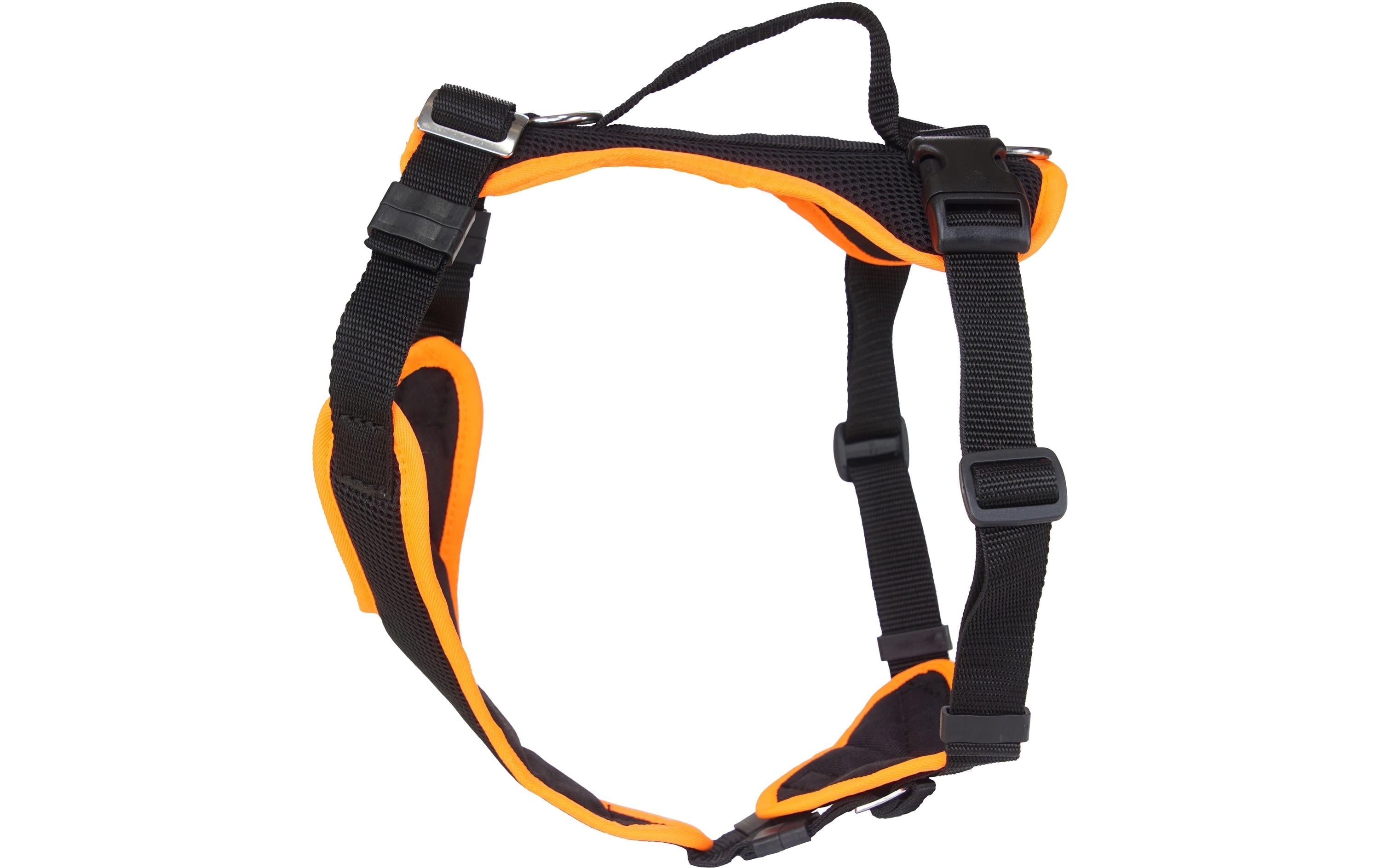 Grossenbacher Welpengeschirr M Popp-it, Orange