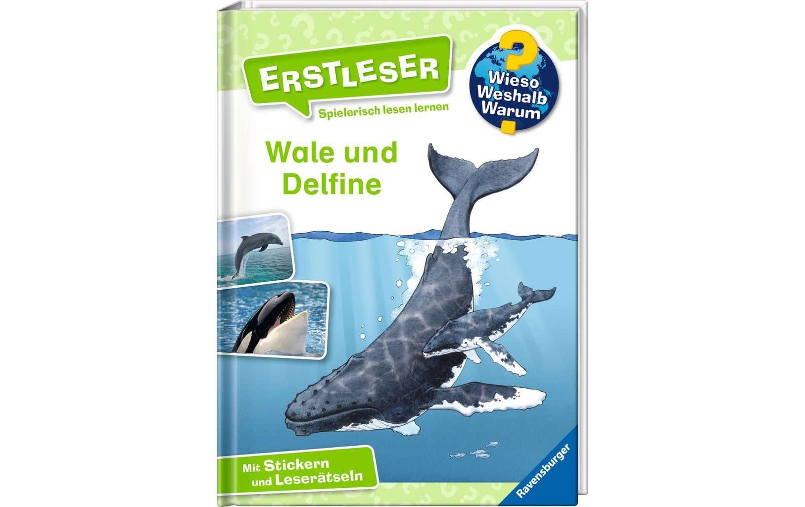 WWW Erstleser3 Wale und Delfine 7-10 Jahre