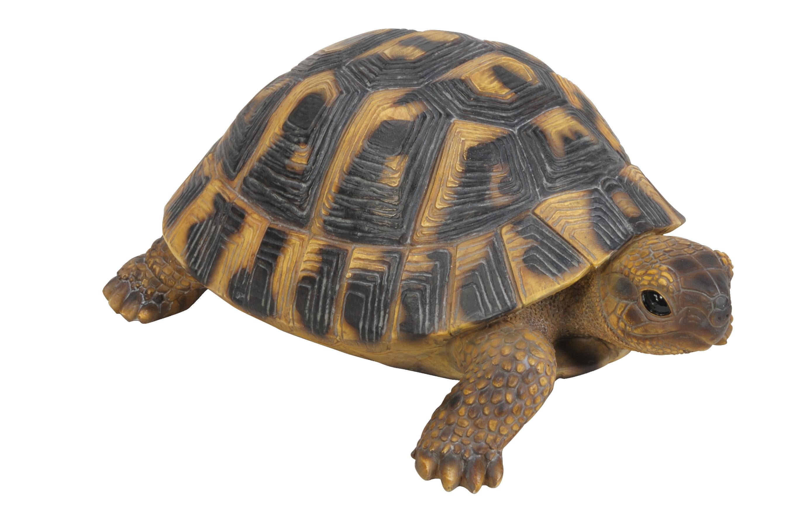 Vivid Arts Landschildkröte,Polyresin 28 x 18.5 x 12 cm