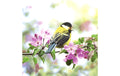 Paper+Design Servietten Spring Bird 33x33 cm, 20 Stück