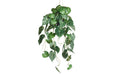 Botanic-Haus Anthurium hängend Kunststoff, 87x37 cm (HxB)