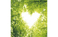 Paper + Design Servietten Nature Love 33x33 cm, 20 Stück