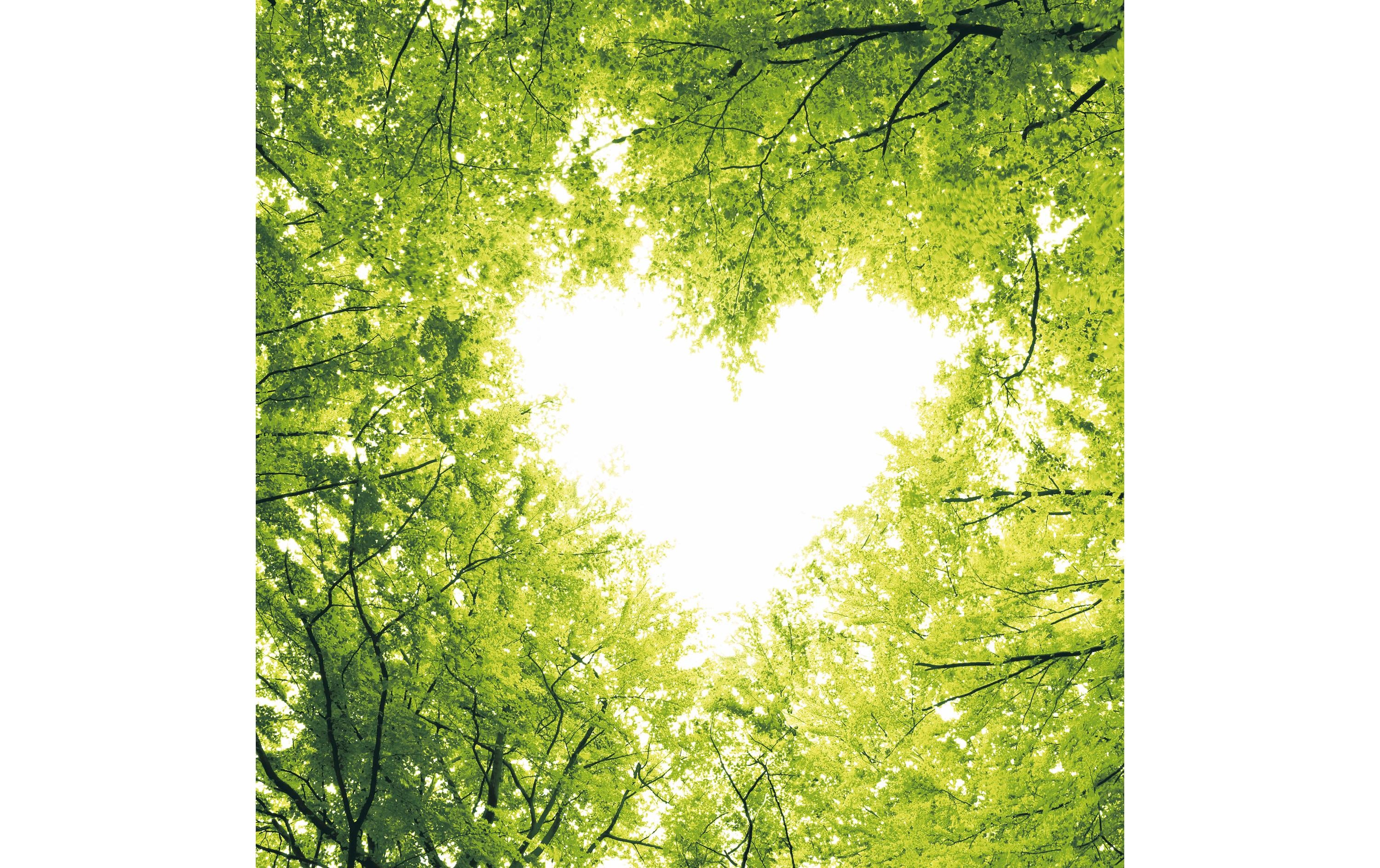 Paper + Design Servietten Nature Love 33x33 cm, 20 Stück