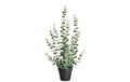 Botanic-Haus Eukalyptus Kunststoff, 58x16 cm (HxB)