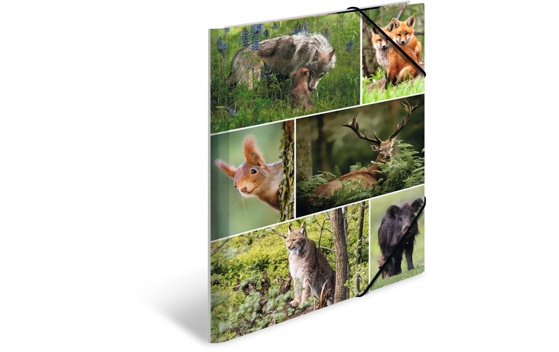 Herma Sammelmappe A4 Waldtiere Material: Karton, mit Innendruck