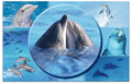 Herma Schreibunterlage Delphin Grösse 55 x 35 cm, Softtouch