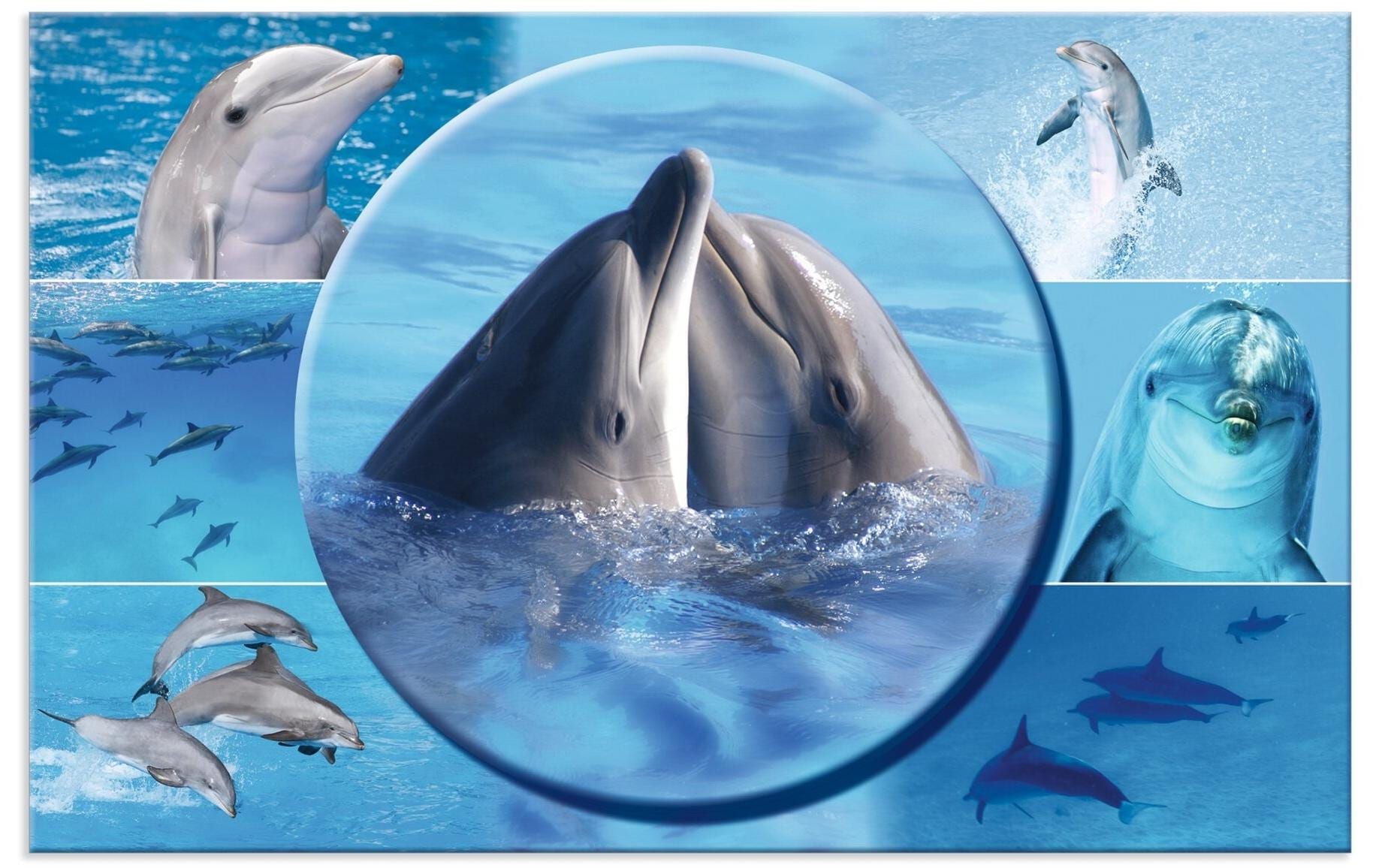 Herma Schreibunterlage Delphin Grösse 55 x 35 cm, Softtouch