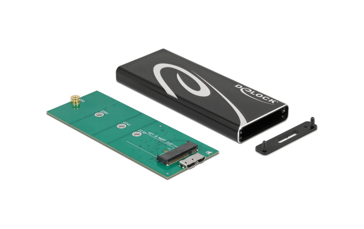 Delock Externes Gehäuse SuperSpeed USB für M.2 SATA SSD Key B