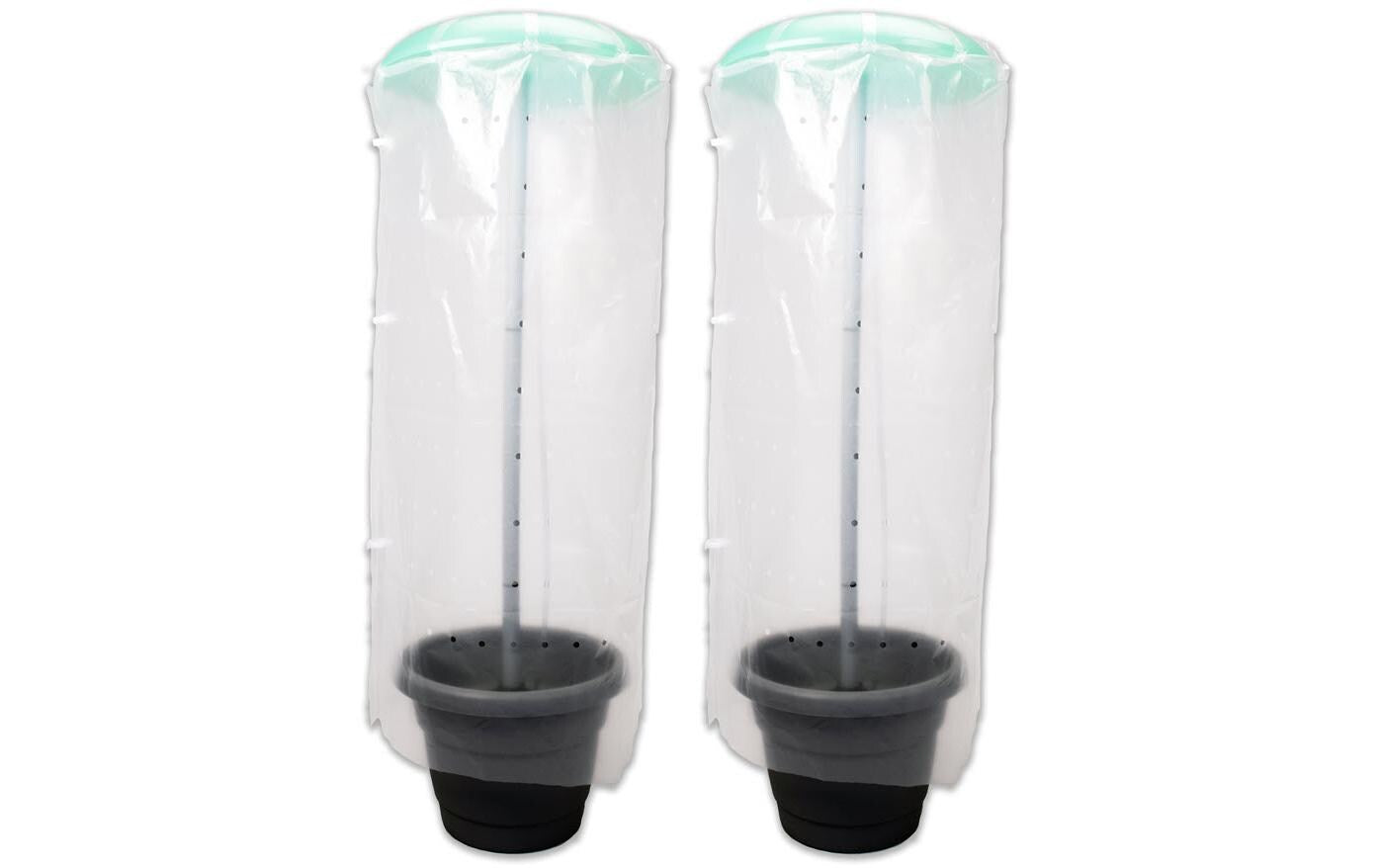 Tomatenhut 2 er Set
