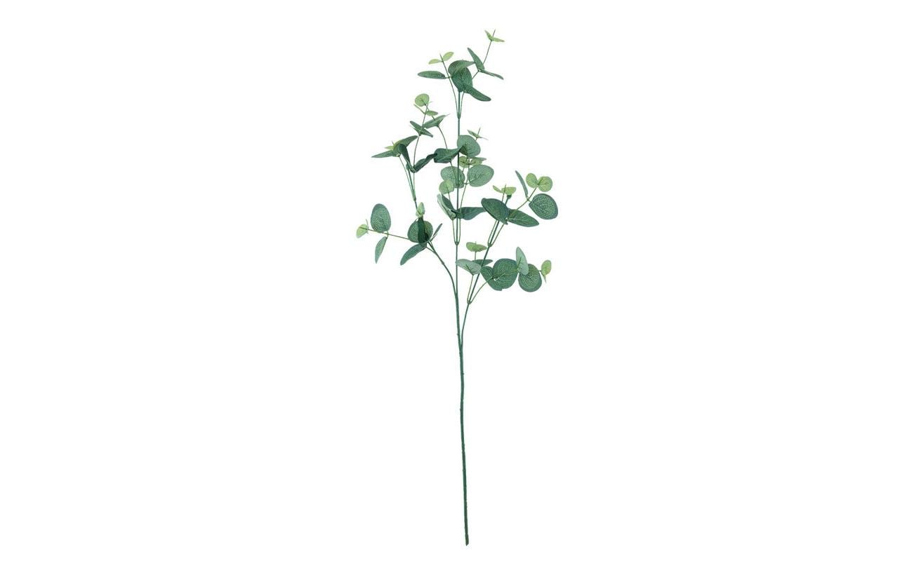 Dekomat EukalyptuszweigL: 76 cm L: 76 cm