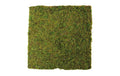 Dekomat Moosplatte 30x30 cm Naturmoss auf Papierunterlage