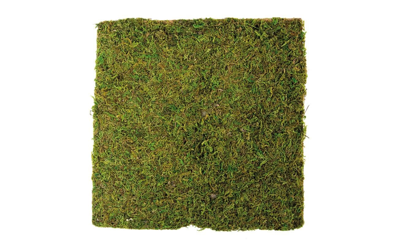 Dekomat Moosplatte 30x30 cm Naturmoss auf Papierunterlage