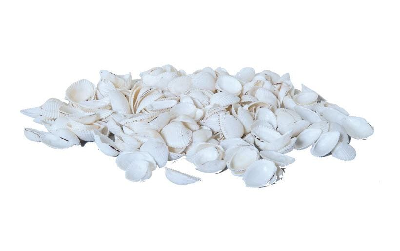 Dekomat  Muscheln im Netz, 300g Weiss