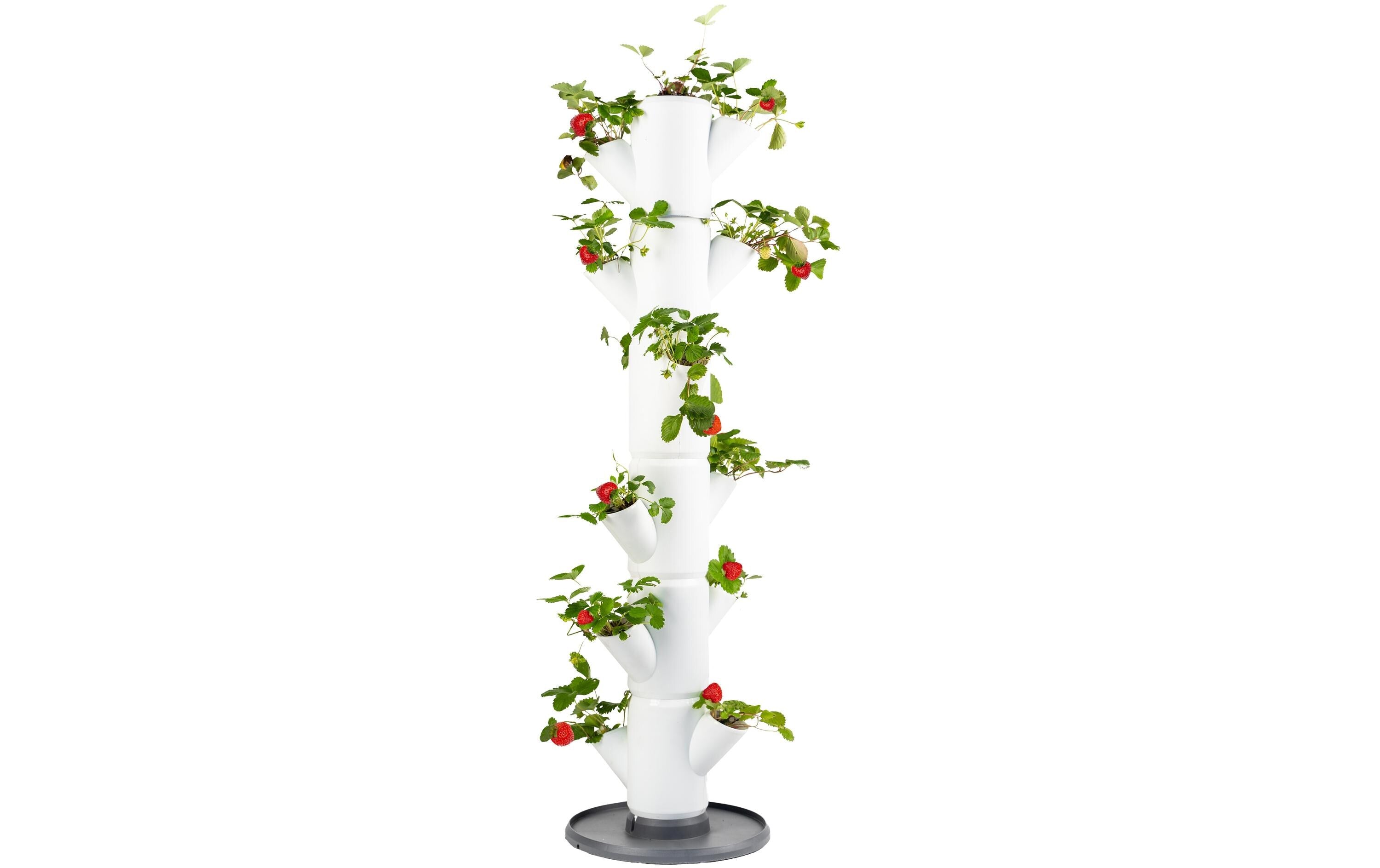 SISSI STRAWBERRY classic weiss Starterset 3 teilig