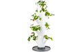 SISSI STRAWBERRY starter weiss Starterset 3 teilig
