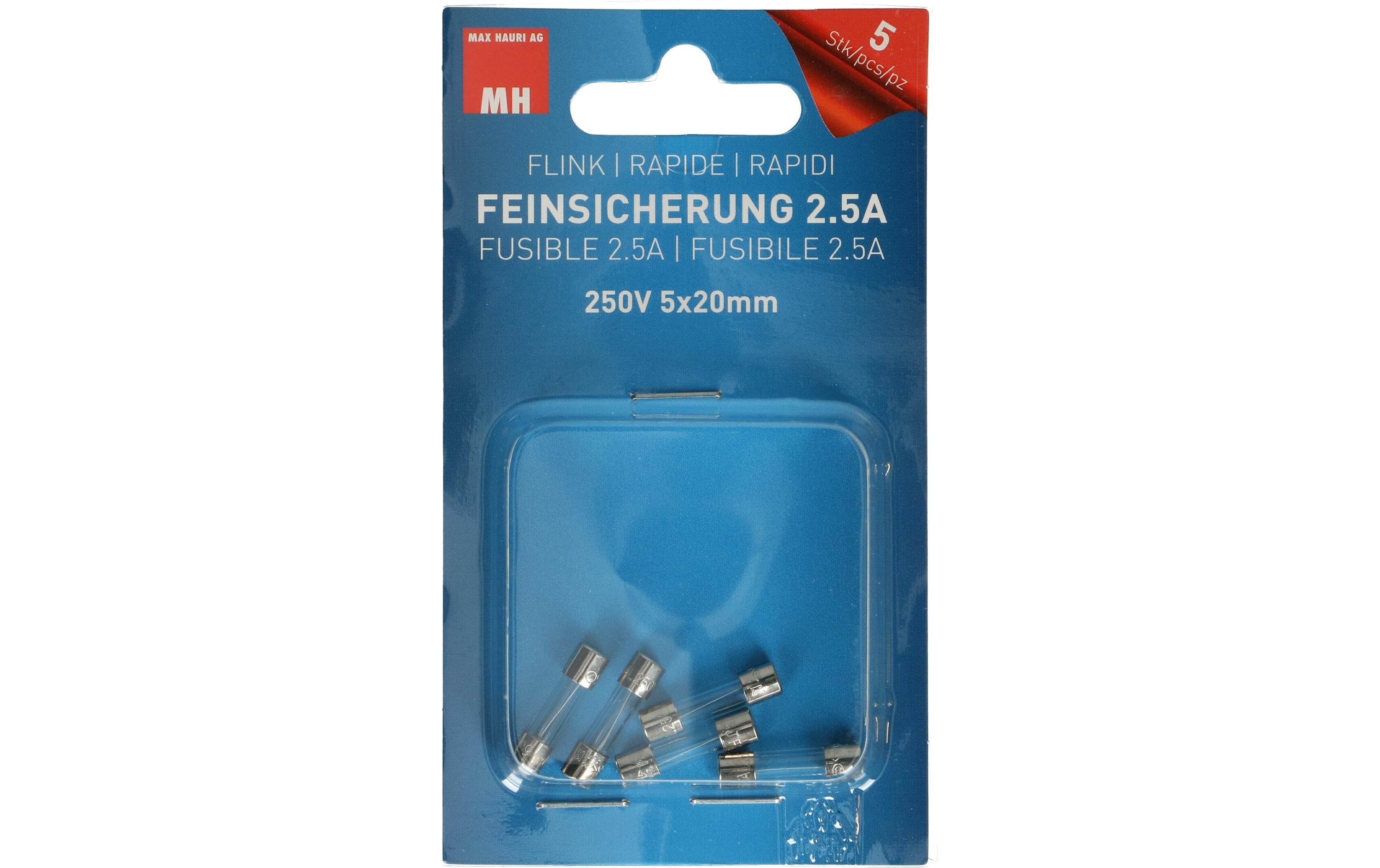 Max Hauri Feinsicherung 2.5A  250V 5x20mm flink, 5 Stk.