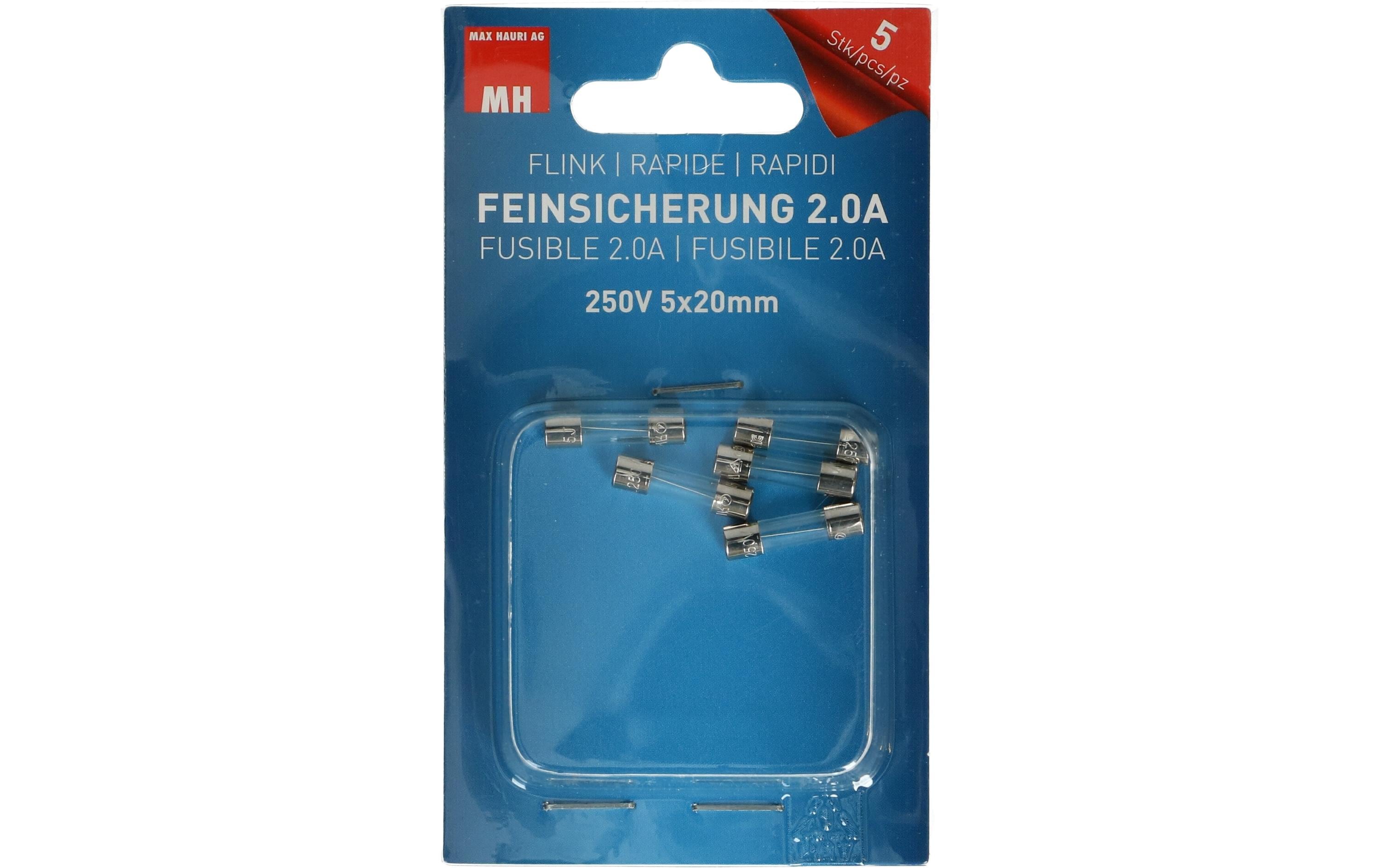 Max Hauri Feinsicherung 2A  250V 5x20mm flink, 5 Stk.