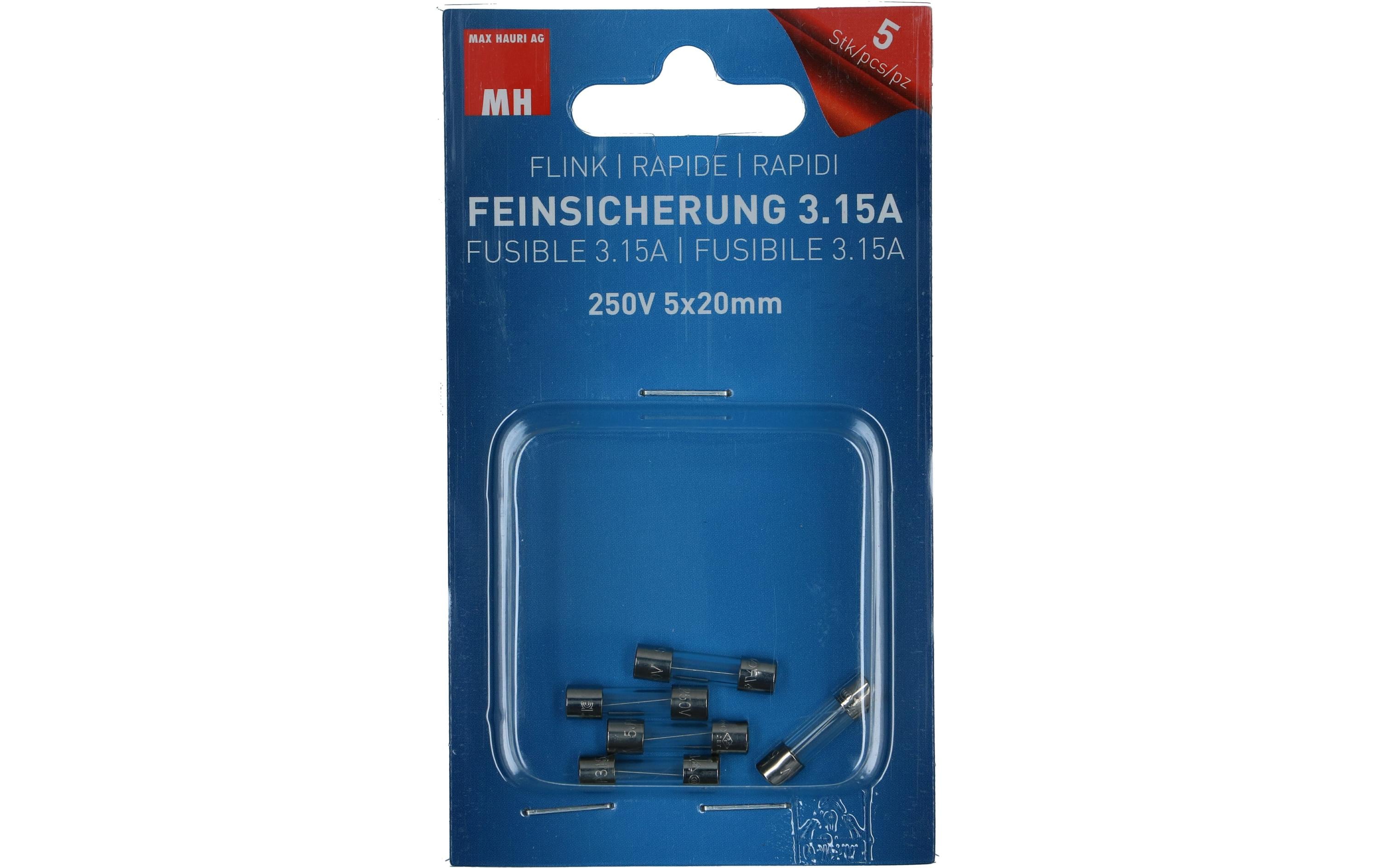 Max Hauri Feinsicherung 3.15A  250V 5x20mm flink, 5 Stk.