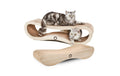 CanadianCat Set Orbit & Satellite natur