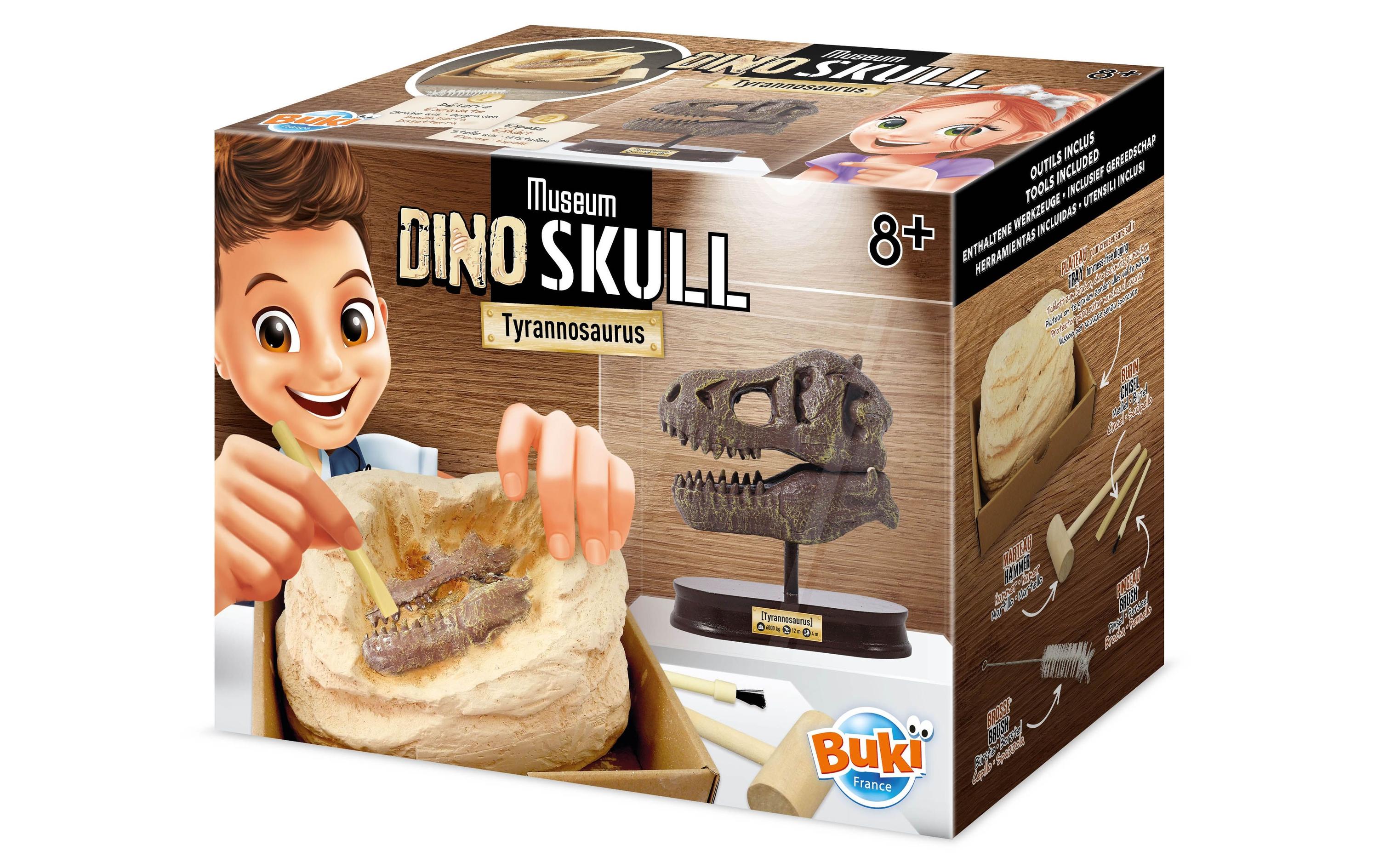 T-REX MUSEUM SKULL