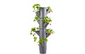 SISSI STRAWBERRY hanging anthrazit