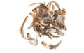 Glorex Fasanenfedern 5-12 cm, 10g