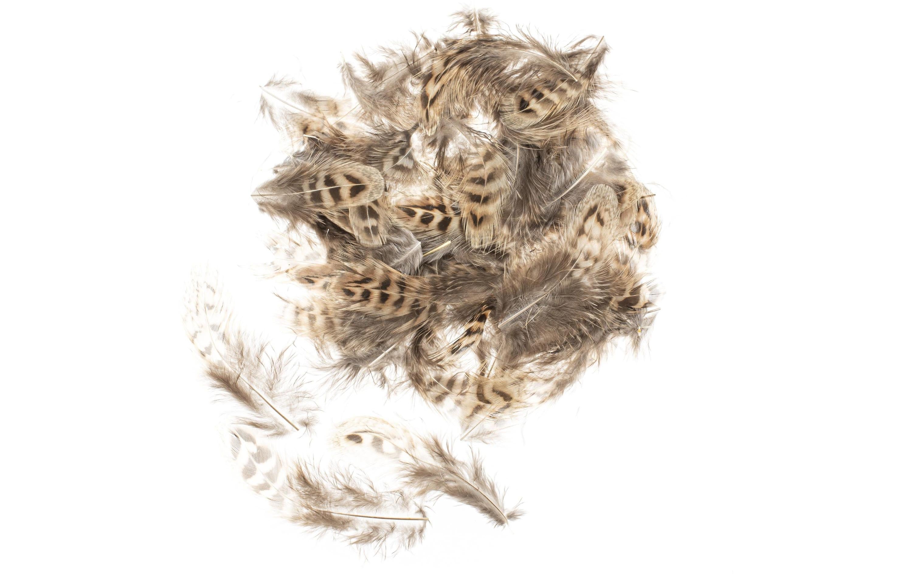 Glorex Hühnerfedern 5-12 cm, 10g