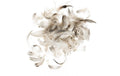 Glorex Hahnenfedern 5-12 cm, 10g