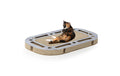 CanadianCat Katzenspielplatz Playplate betonoptik