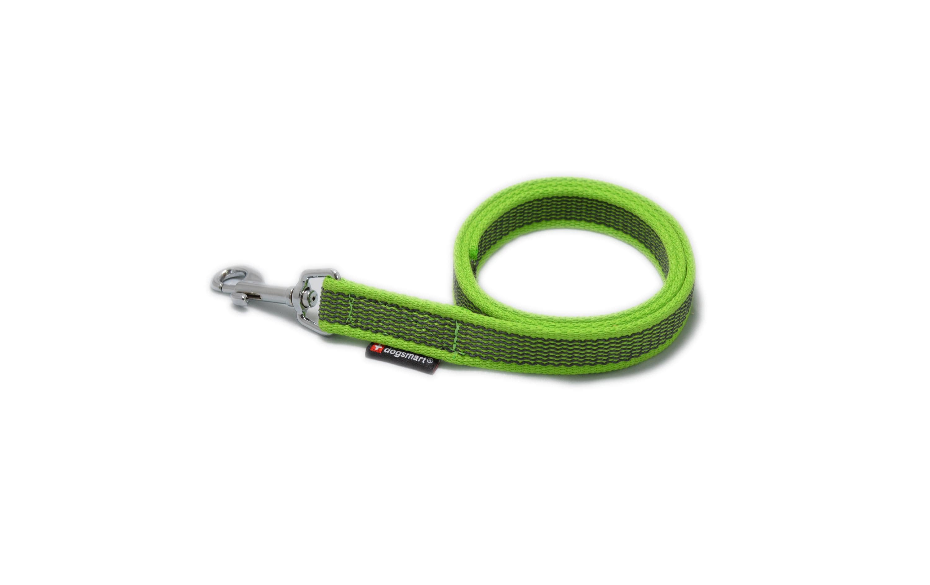 dogsmart Leine gummiert 6m, 20mm grün, mit Handschlaufe