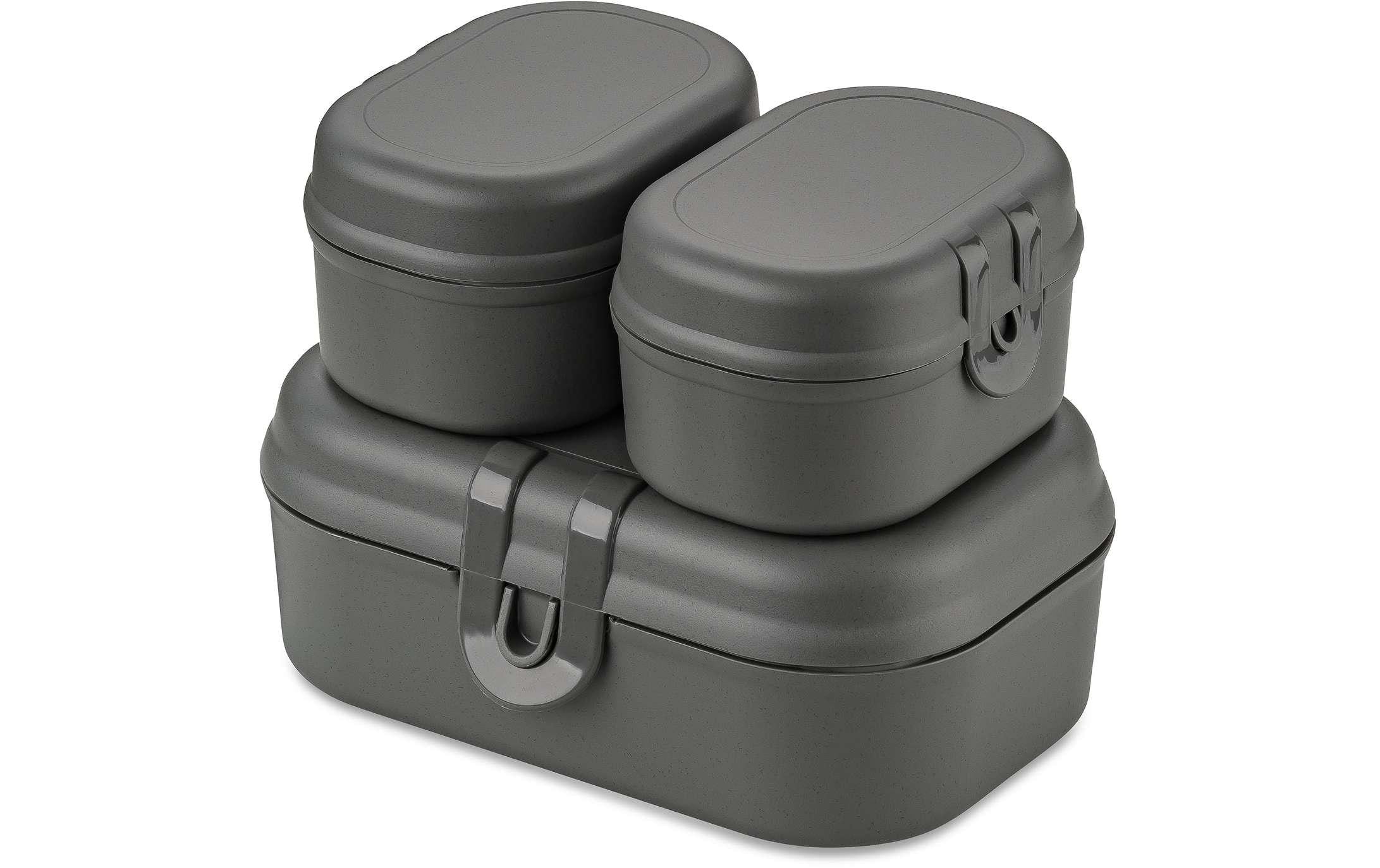 Koziol Lunchbox Pascal ready mini grau, bio-circular