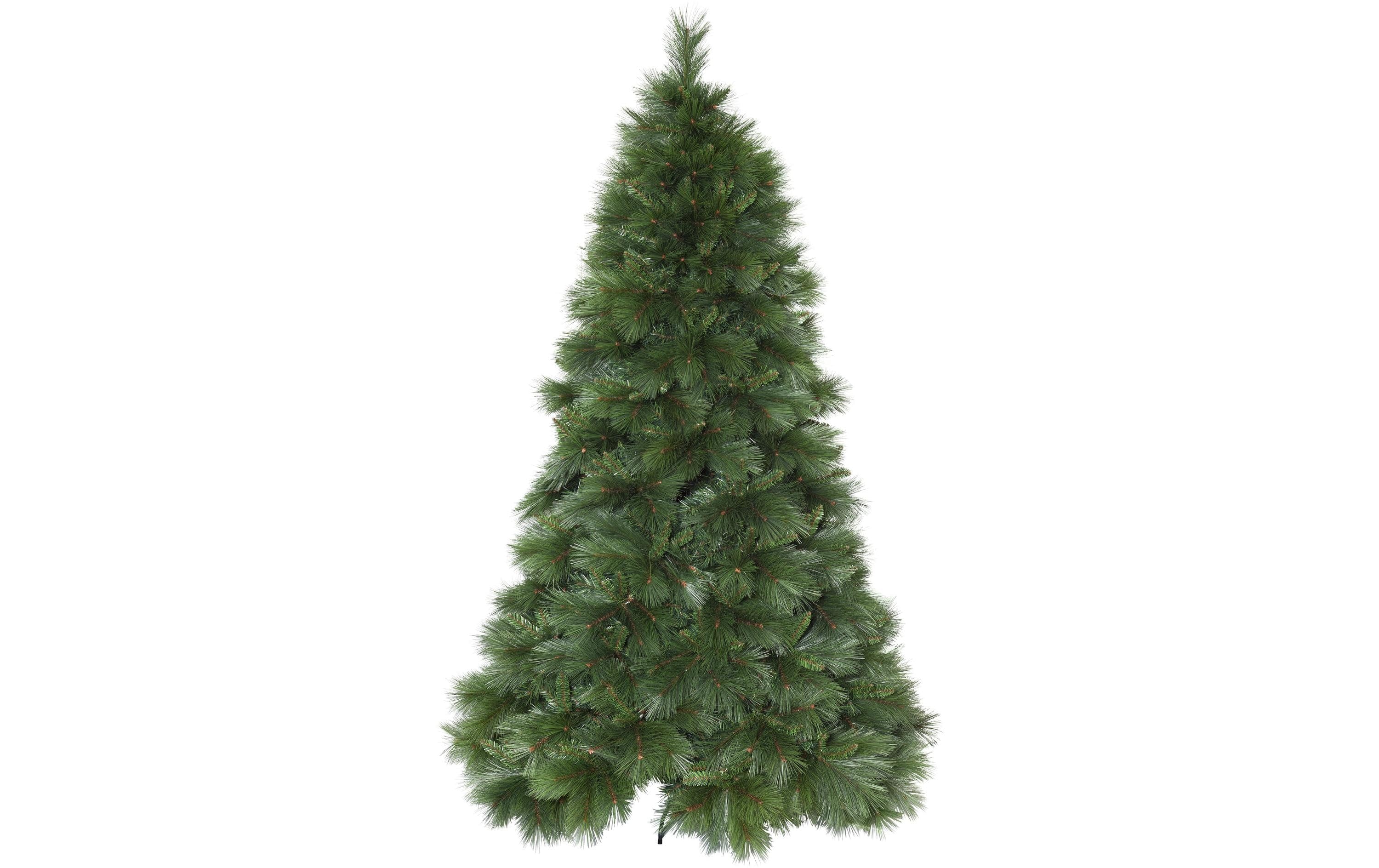 Star Trading Weihnachtsbaum Cembra ohne Licht, IP44, 240cm