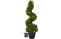 Star Trading Dekorativer Baum Buxbom inkl. LED WW, IP44, 65cm