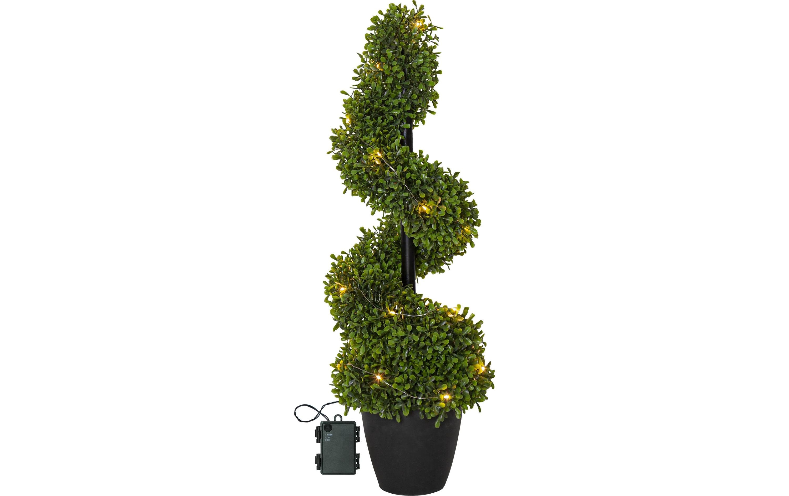 Star Trading Dekorativer Baum Buxbom inkl. LED WW, IP44, 65cm