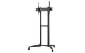 Neomounts FL50-540BL1 Mobile Floor Stand (height: 128.5-145cm)