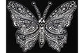 TATARUGA Samtbild A4, Schmetterling
