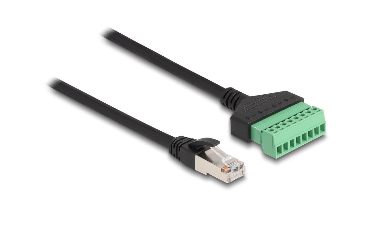 Delock RJ45 Kabel Cat. 6 Stecker zu Terminalblock Adapter, 30cm, 2-teilig
