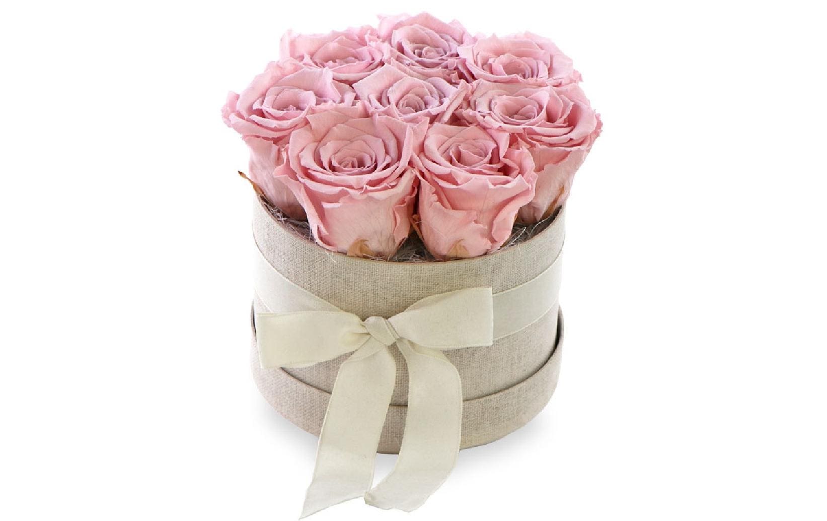 Soli Collection Rosenbox Rosa Durchmesser 14cm, Höhe 16cm