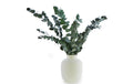 Soli Collection Eukalyptus L: 40-55cm