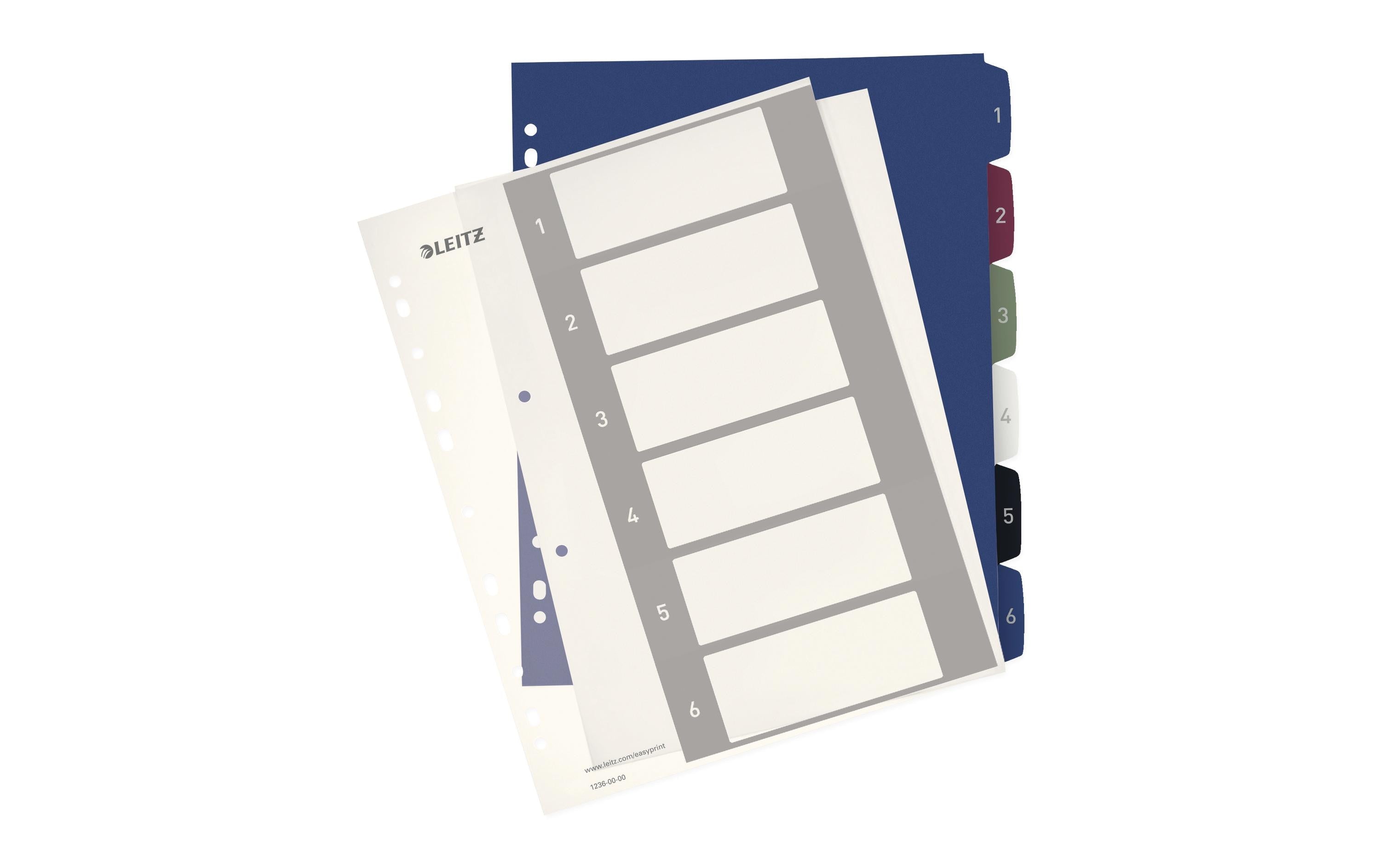 Leitz PC-beschriftbares Register Style 1 - 6