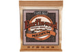 Ernie Ball 2144 Earthwood Phosphor Bronze Akustik Saitensatz, Medium 13-56