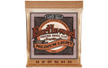 Ernie Ball 2146 Earthwood Phosphor Bronze Akustik Saitensatz, Medium Light 12-54