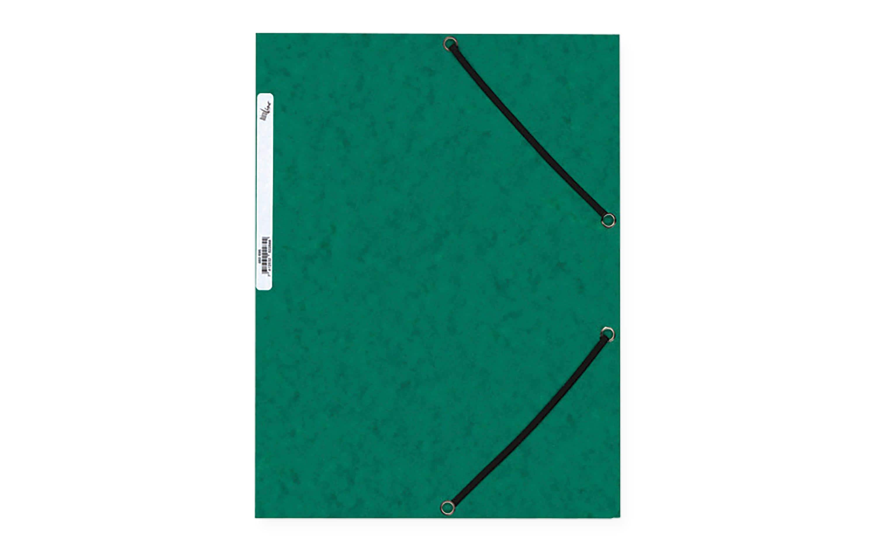 BüroLine Gummibandmappe A4 grün