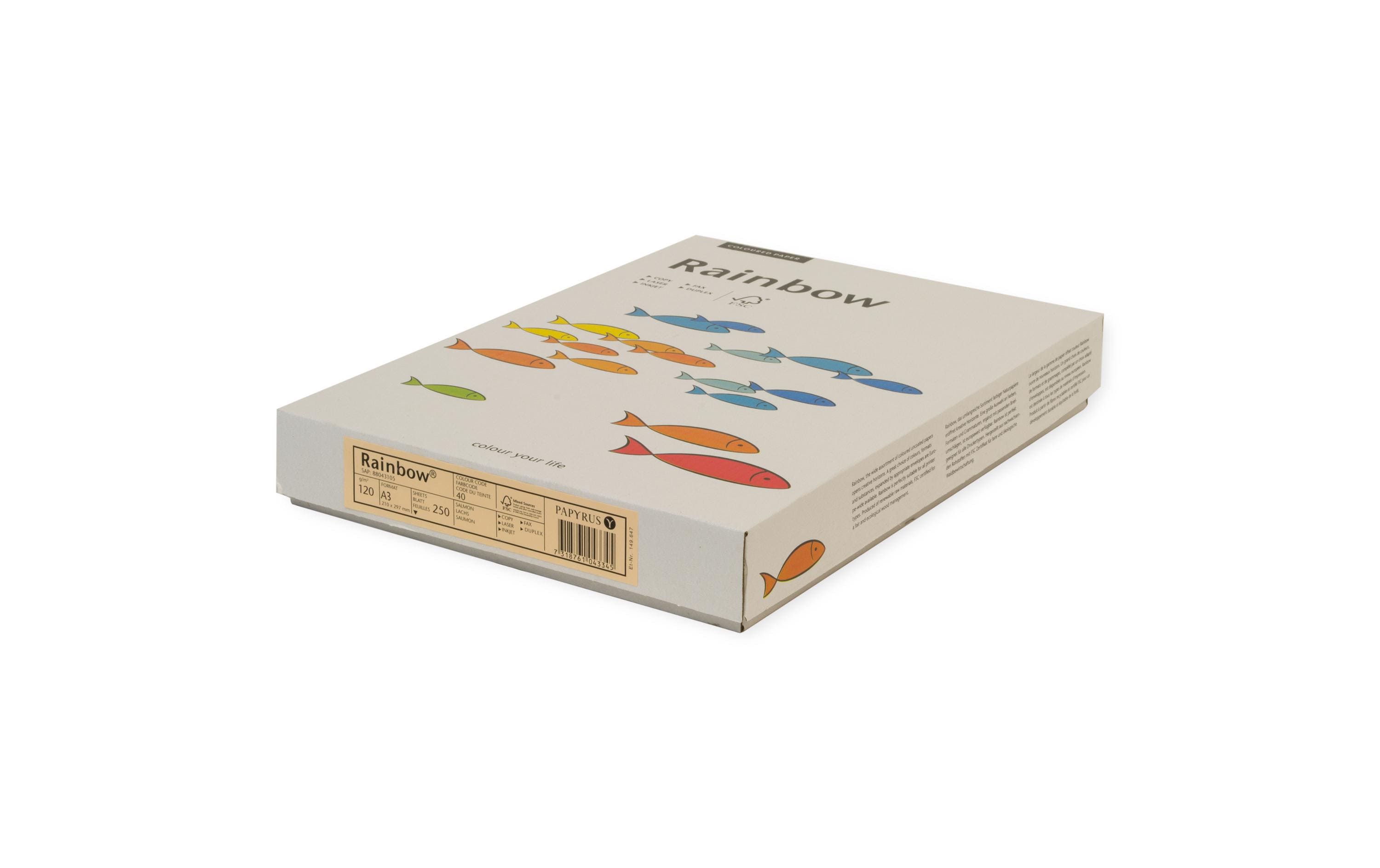 Rainbow Kopierpapier 120 g/m², 250 Stk A3, rosa