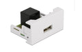 Delock Easy 45 Modul 22.5x45mm USB 2.0 Typ-A Buchse zu RJ45 Buchse