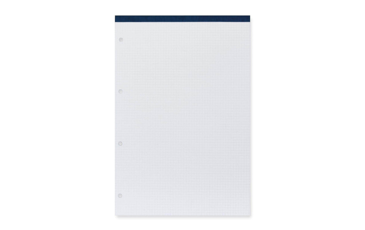 Office Focus Notizblock 65 g/m² A4, 4 mm kariert, 4-fach gelocht, 5 Stück