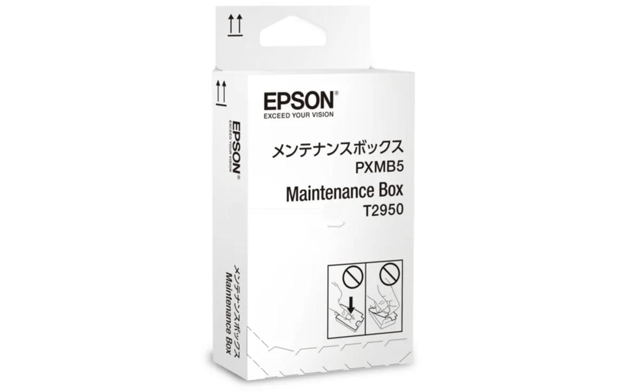 Epson Maintenance Box C13T295000 zu WF-100/110W