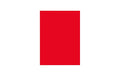 Elco Büropapier Color A4, 80 g/m², intensiv rot, 100 Stk
